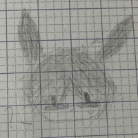 Thỏ đen đeo kính râm