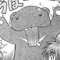 kuma-kuma
