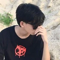 Lê Vũ Thịnh