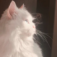 All ( trừ ai thì trừ )