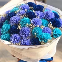 các quý tộc ở đó