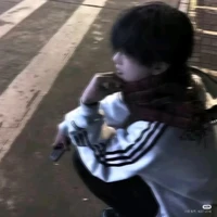 Nhiếp Phong Tuân Nam