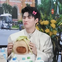 Huỳnh Hoàng Hùng (gemini)