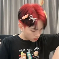 Thanh Pháp (Pháp kiều)