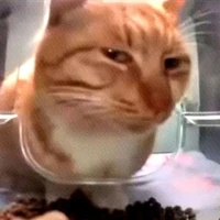 Nhân Vật Phụ (gánh mọi loại vai:))