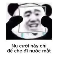 hệ thống