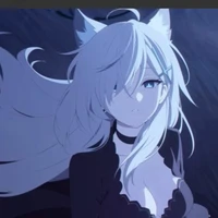 shiroko terror