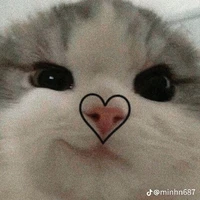 an an nek