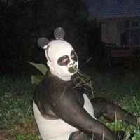 Panda(T.Bảo)