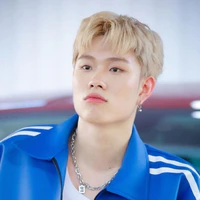 Trần Đăng Dương ( domic )