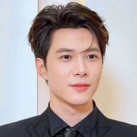 Bùi Anh Tú