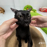 nhỏ TG