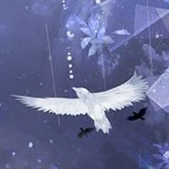 KHÔNG GIAN TỘI NGHIỆP