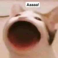 Tất cả