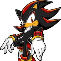 Shadow The Hedgehog
