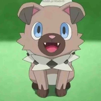 (MD) イワンコ Iwanko