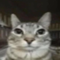 Giáo viên chủ nhiệm