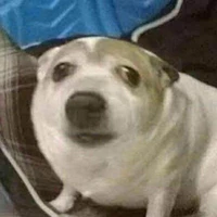 Tớ đâyyy