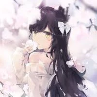 Kirakoto Akiko