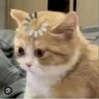 Phát