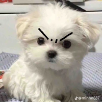 Tác giả trầm tính 