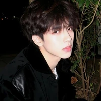 Tiến Dũng