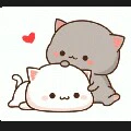 cả lớp