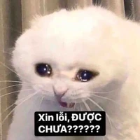 all mọi người ở đó