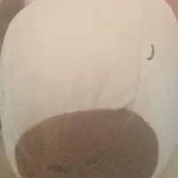 bà zà ( tác giả)