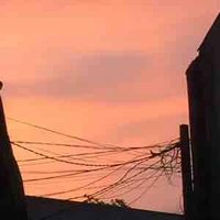 NV cân mọi giới tính 