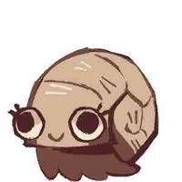 shelly