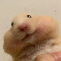 Tác Giả cutee hehhehehe