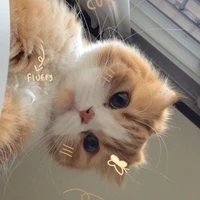 Tác giả cutiee♡
