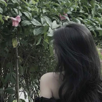 Tả Mỹ Linh _ n