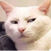 t/g zui zẻ ko quạo