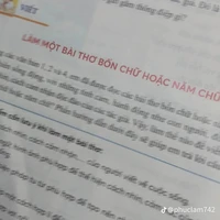 t/g cute phô mai que sữa hột gà