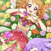 Akari