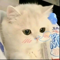 Tác giả đáng yêu