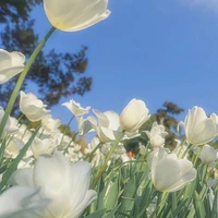 ALL