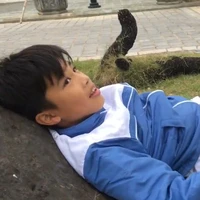 Vũ Nam(gã)
