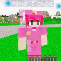 hiha police