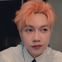 Nguyễn Thái Sơn-Jsol