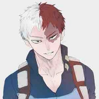 Todoroki Shoto(FT)