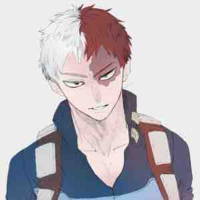 Todoroki Shoto(FT)