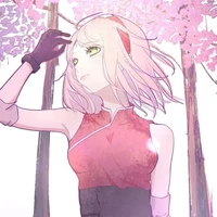 Uchiha/Haruno Sakura