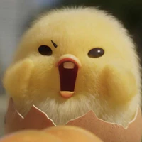 chip bông🐣 [ t/g ]
