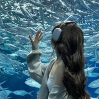 Kim Thị Ánh Tuyết