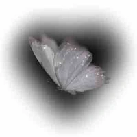 Tất cả trừ những người cần trừ