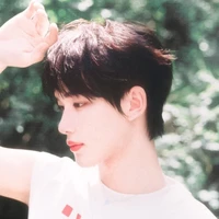 Đinh Trình Hâm