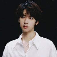 Hạ Tuấn Lâm